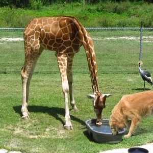 Meet your Posher, Jaime